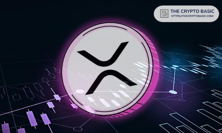 5,000 XRP 如何赚取 16,900,000 美元