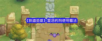 狭道英雄复活药剂有什么用