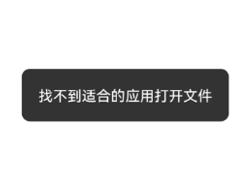 迅雷打开文件找不到合适的应用怎么办 迅雷打开文件的应用软件有哪些