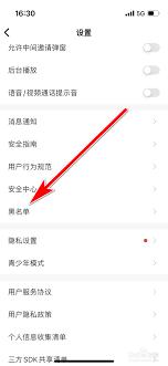 伊对如何设置隐身模式