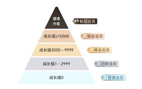 闪送会员如何升级
