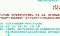 洛克王国圣域灵犬性格推荐