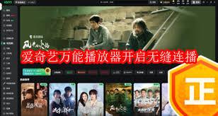 爱奇艺万能播放器怎么开启无缝连播