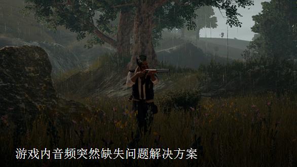 《绝地求生》音频突然缺失解决方案
