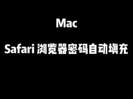 Safari密码自动填充错账户如何解决