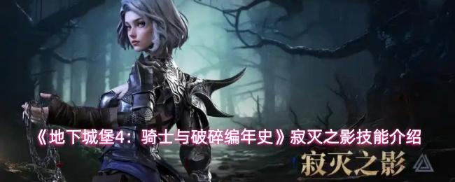 地下城堡4：骑士与破碎编年史 寂灭之影技能介绍