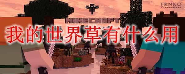 我的世界草有什么用