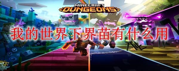 我的世界下界苗有什么用
