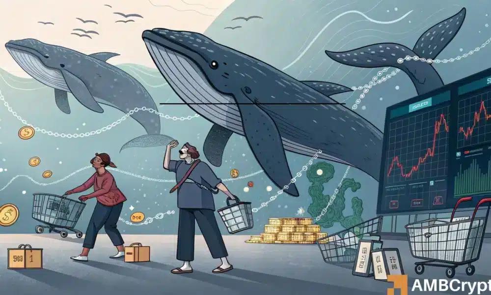 Chainlink 下跌 16%，因 LINK 巨鲸抛售 817 万美元——20 美元还能守住吗