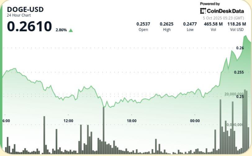 DOGE 反弹 3%，突破 0.26 美元，交易员目标价为 0.30 美元