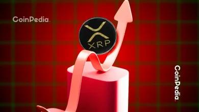 XRP 零售 FUD 创下 6 个月新高——下一步可能出现重大突破吗