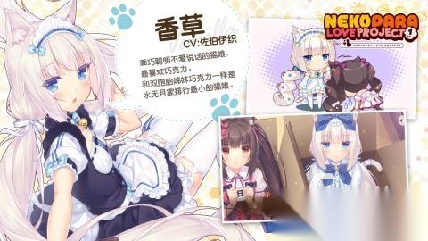 2025热门的猫娘游戏有哪些 必须的猫娘游戏盘点