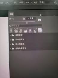 ps2021如何调节画笔工具不透明度
